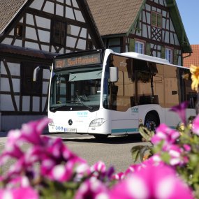 Le changement d'horaire renforce les transports en commun transfrontaliers entre le Bade-Wurtemberg et l'Alsace