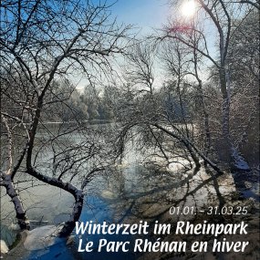 Le Parc Rhénan en hiver