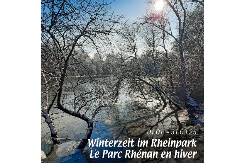 Winterzeit im Rheinpark